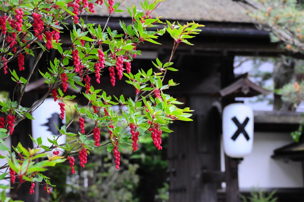 Sanboin Hotel Koyasan Exterior foto